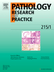 PATHOLOGY RESEARCH AND PRACTICE