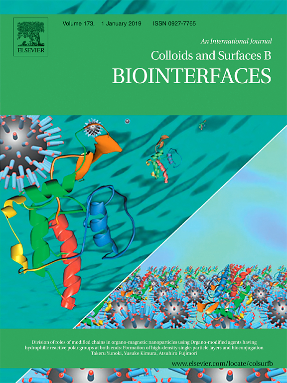 COLLOIDS AND SURFACES B-BIOINTERFACES