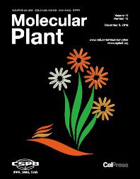 Molecular Plant